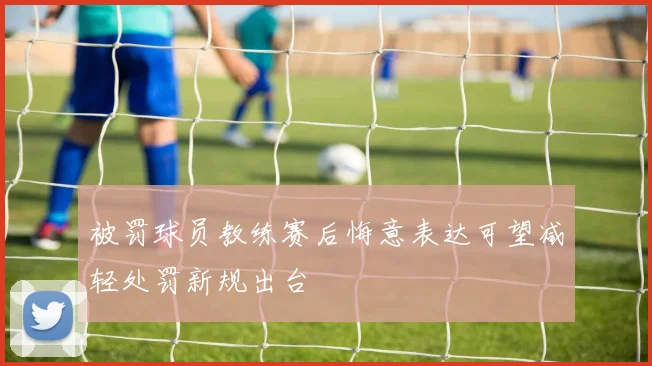被罚球员教练赛后悔意表达可望减轻处罚新规出台