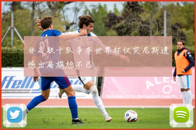 非足联十队争夺世界杯仅突尼斯遗憾出局尴尬不已